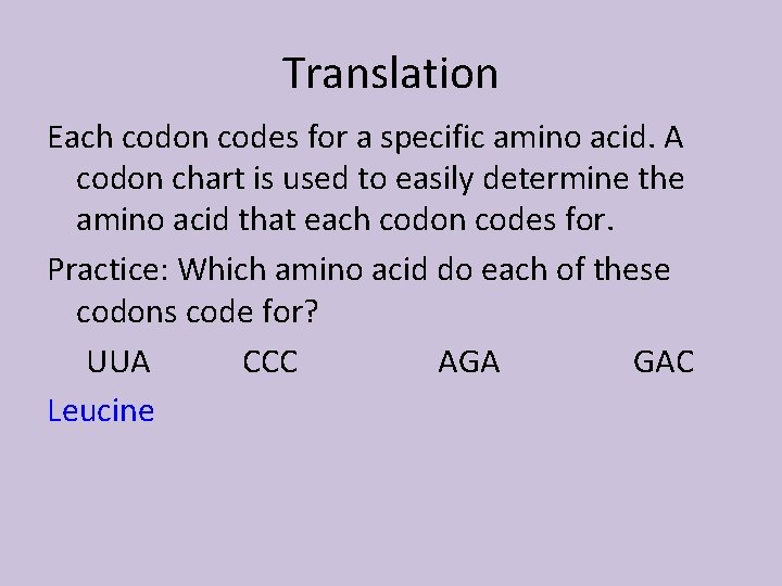 Translation Each codon codes for a specific amino acid. A codon chart is used