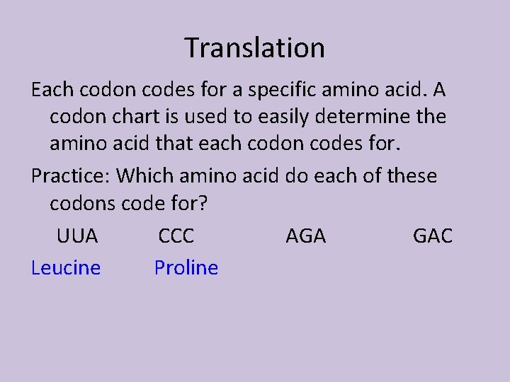 Translation Each codon codes for a specific amino acid. A codon chart is used