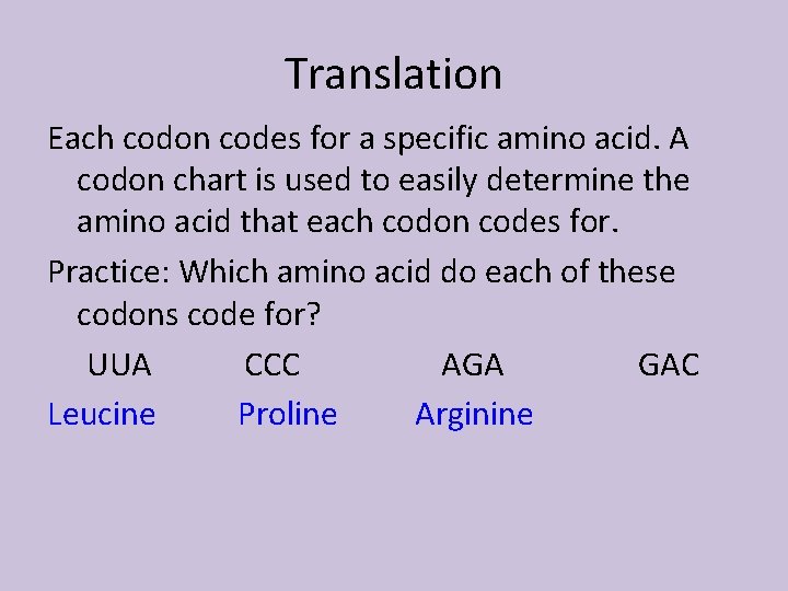 Translation Each codon codes for a specific amino acid. A codon chart is used