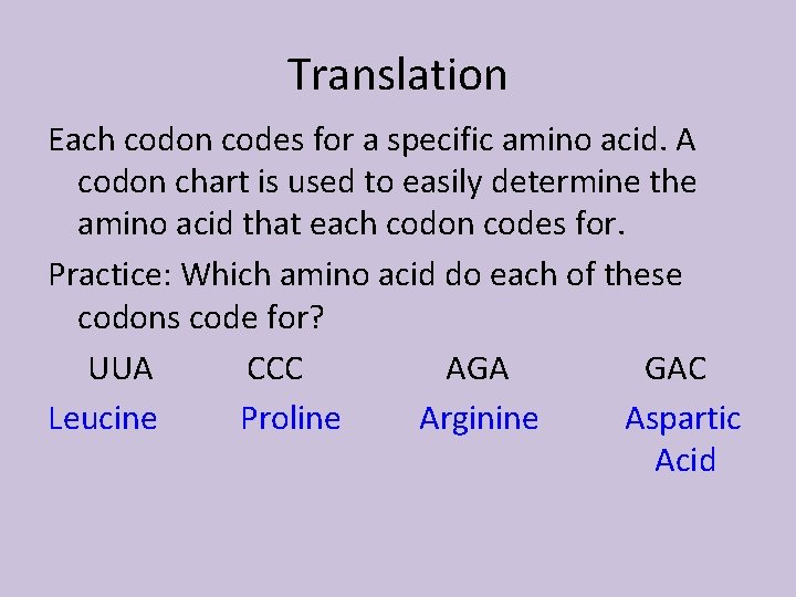 Translation Each codon codes for a specific amino acid. A codon chart is used