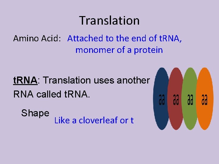 Translation Amino Acid: Attached to the end of t. RNA, monomer of a protein