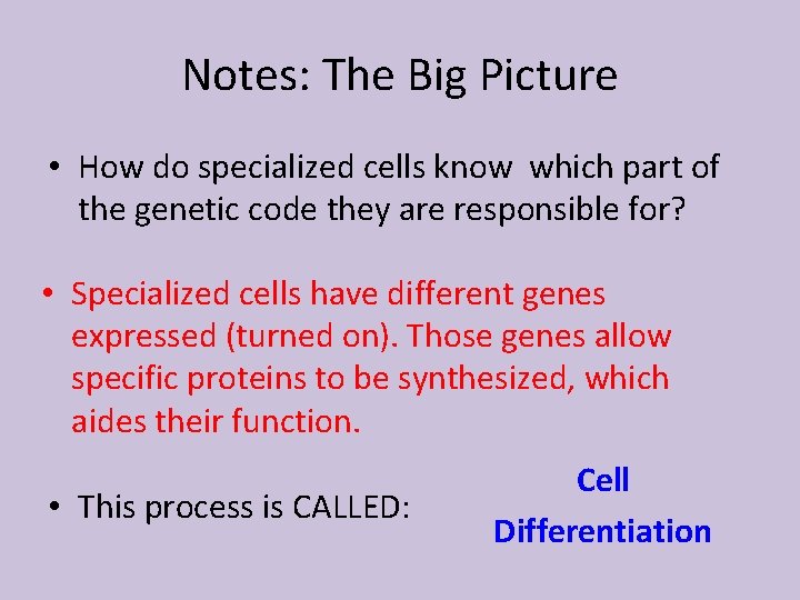 Notes: The Big Picture • How do specialized cells know which part of the