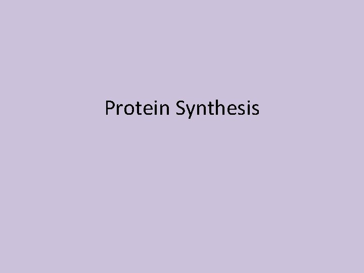 Protein Synthesis 