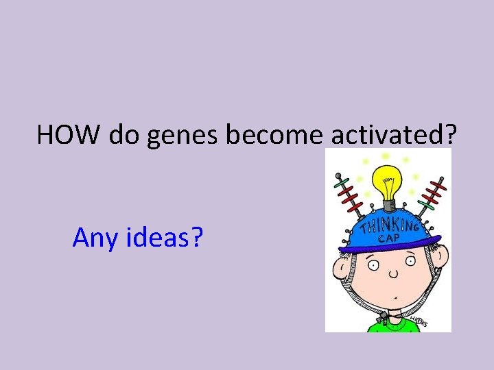 HOW do genes become activated? Any ideas? 