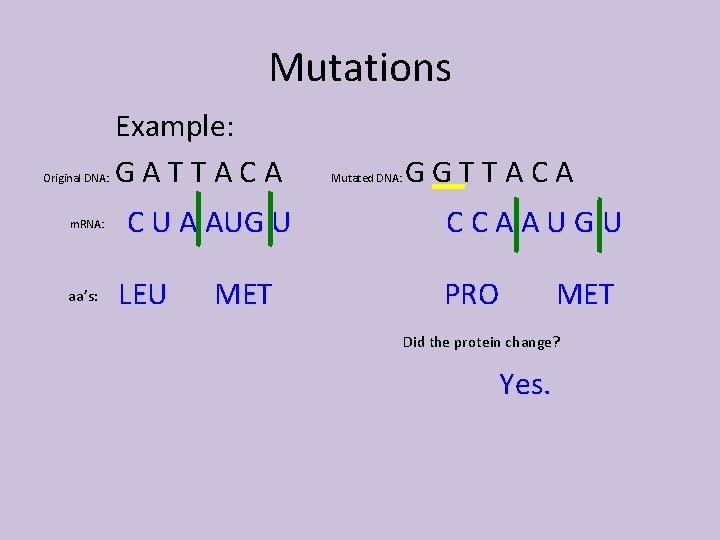 Mutations Original DNA: m. RNA: aa’s: Example: GATTACA Mutated DNA: GGTTACA C U A