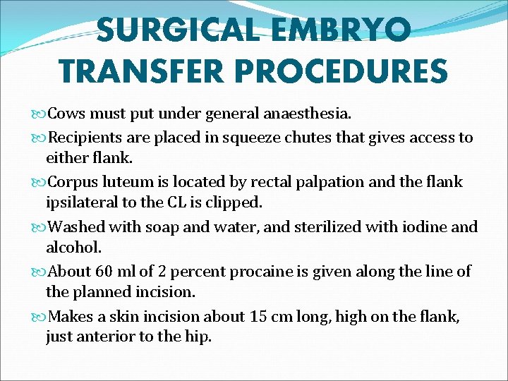 SURGICAL EMBRYO TRANSFER PROCEDURES Cows must put under general anaesthesia. Recipients are placed in