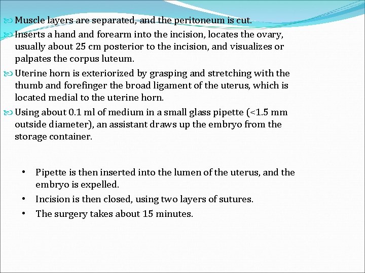  Muscle layers are separated, and the peritoneum is cut. Inserts a hand forearm