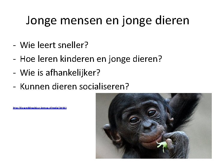Jonge mensen en jonge dieren - Wie leert sneller? Hoe leren kinderen en jonge
