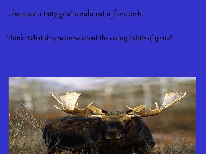 …because a billy goat would eat it for lunch. Think: What do you know