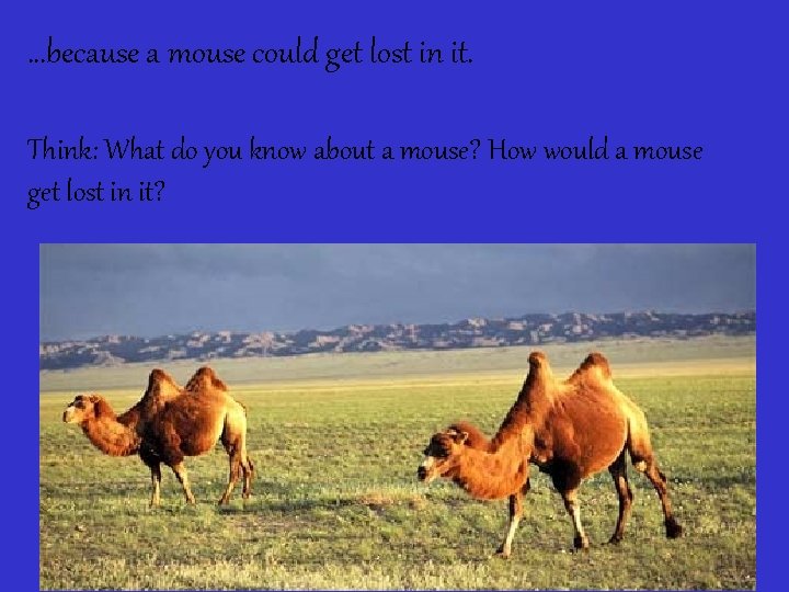 …because a mouse could get lost in it. Think: What do you know about