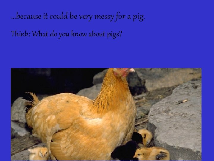…because it could be very messy for a pig. Think: What do you know