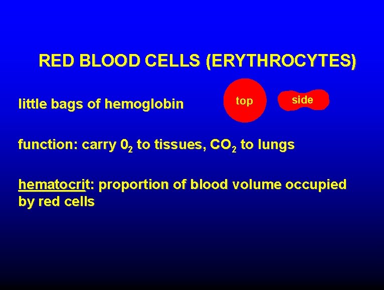 RED BLOOD CELLS (ERYTHROCYTES) little bags of hemoglobin top side function: carry 02 to