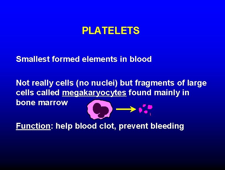 PLATELETS Smallest formed elements in blood Not really cells (no nuclei) but fragments of