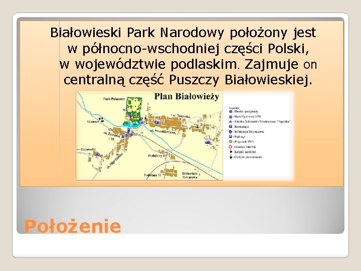 Białowieski Park Narodowy położony jest w północno-wschodniej części Polski, w województwie podlaskim. Zajmuje on