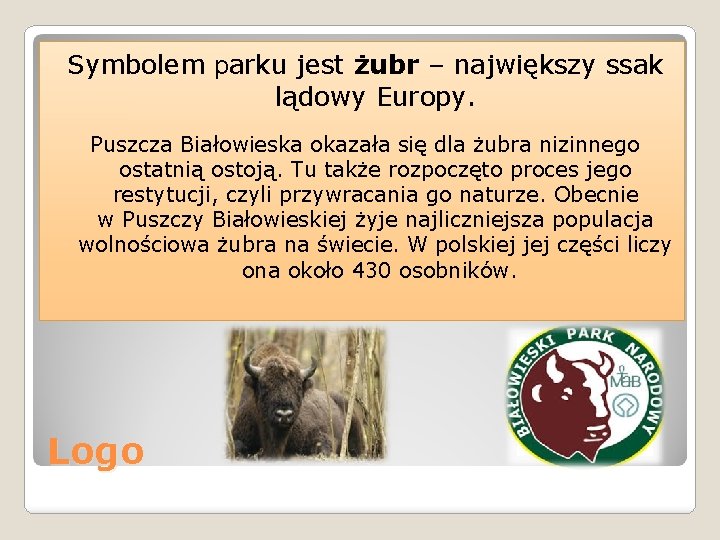 Symbolem parku jest żubr – największy ssak lądowy Europy. Puszcza Białowieska okazała się dla