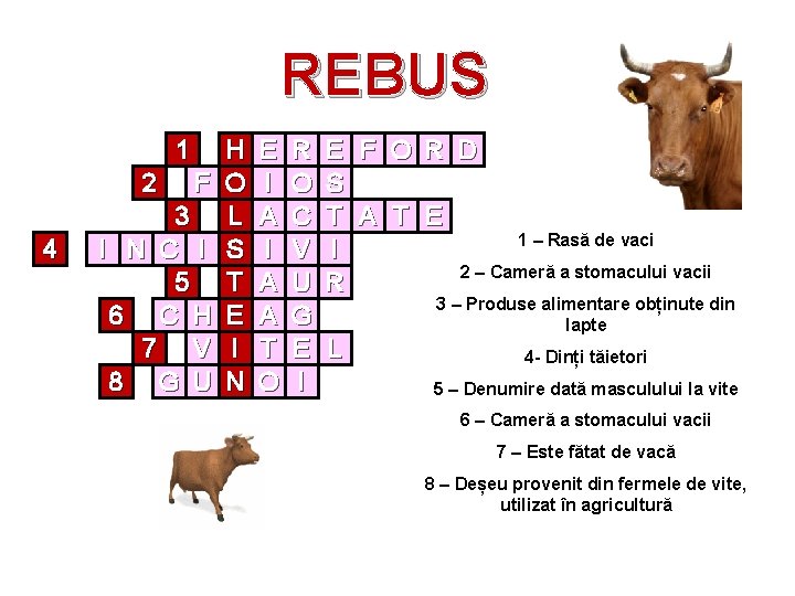 REBUS 1 2 4 F 3 I N C I 5 6 C H REBUS 1 2 4 F 3 I N C I 5 6 C H