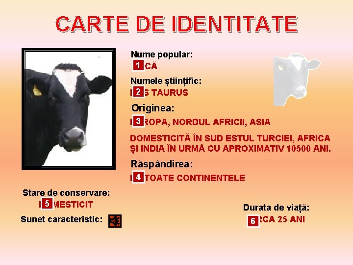 CARTE DE IDENTITATE Nume popular: 1 VACĂ Numele științific: 2 TAURUS BOS Originea: 3