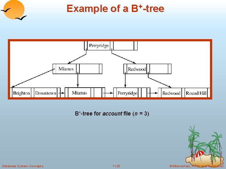 Example of a B+-tree for account file (n = 3) Database System Concepts 11. Example of a B+-tree for account file (n = 3) Database System Concepts 11.