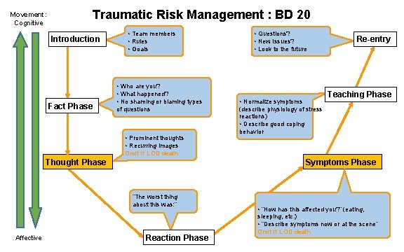 Movement: Cognitive Traumatic Risk Management : BD 20 Introduction Fact Phase • Team members