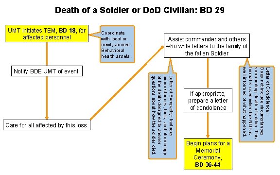 Death of a Soldier or Do. D Civilian: BD 29 UMT initiates TEM, BD