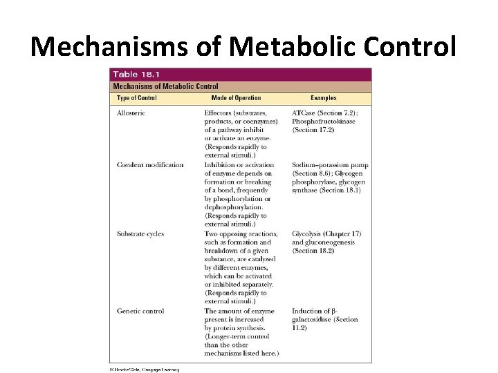 Mechanisms of Metabolic Control 