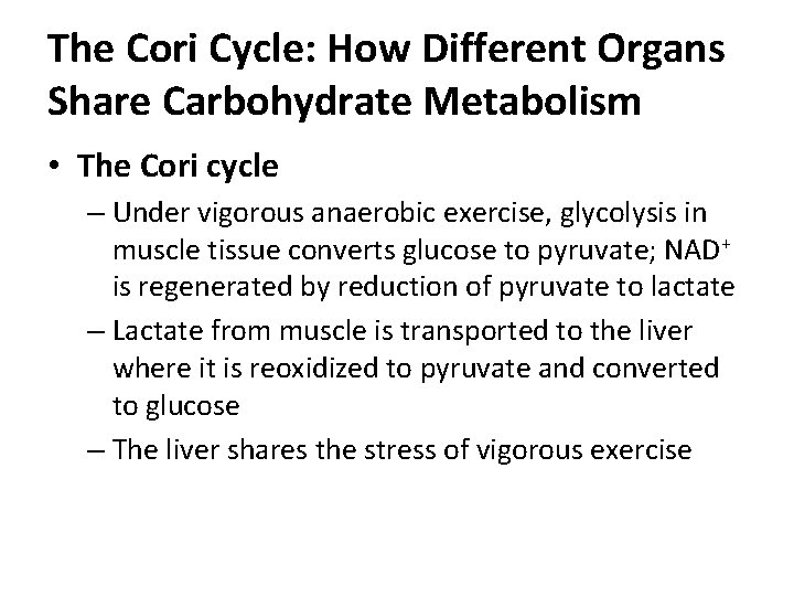 The Cori Cycle: How Different Organs Share Carbohydrate Metabolism • The Cori cycle –