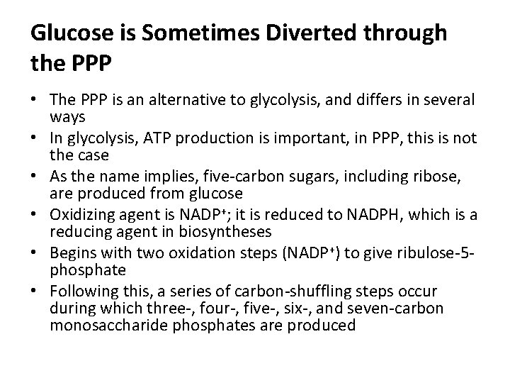 Glucose is Sometimes Diverted through the PPP • The PPP is an alternative to