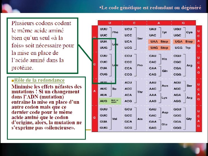 §Le code génétique est redondant ou dégénéré 