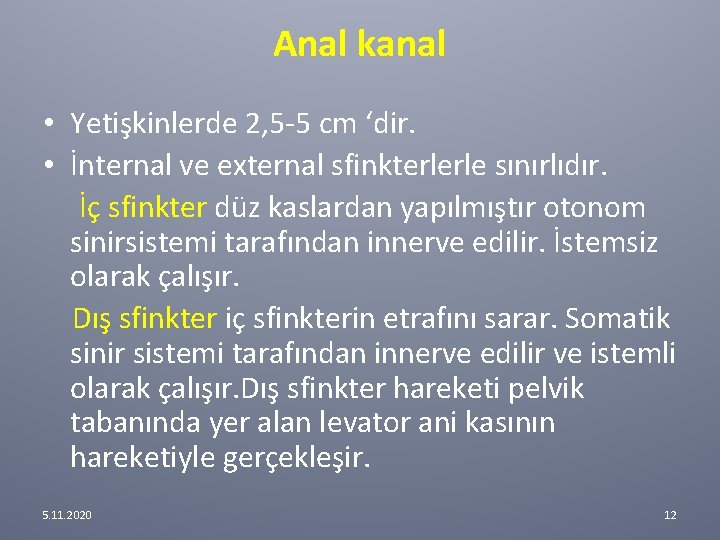 Anal kanal • Yetişkinlerde 2, 5 -5 cm ‘dir. • İnternal ve external sfinkterlerle Anal kanal • Yetişkinlerde 2, 5 -5 cm ‘dir. • İnternal ve external sfinkterlerle