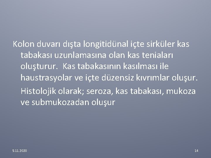 Kolon duvarı dışta longitidünal içte sirküler kas tabakası uzunlamasına olan kas teniaları oluşturur. Kas Kolon duvarı dışta longitidünal içte sirküler kas tabakası uzunlamasına olan kas teniaları oluşturur. Kas