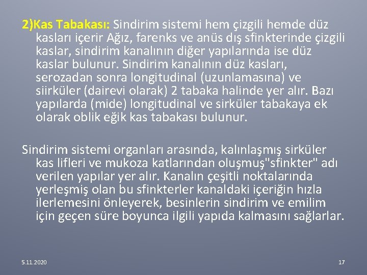 2)Kas Tabakası: Sindirim sistemi hem çizgili hemde düz kasları içerir Ağız, farenks ve anüs 2)Kas Tabakası: Sindirim sistemi hem çizgili hemde düz kasları içerir Ağız, farenks ve anüs