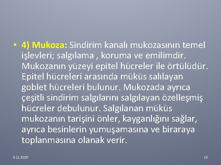 • 4) Mukoza: Sindirim kanalı mukozasının temel işlevleri; salgılama , koruma ve emilimdir. • 4) Mukoza: Sindirim kanalı mukozasının temel işlevleri; salgılama , koruma ve emilimdir.