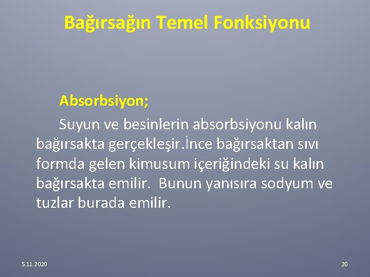 Bağırsağın Temel Fonksiyonu Absorbsiyon; Suyun ve besinlerin absorbsiyonu kalın bağırsakta gerçekleşir. İnce bağırsaktan Bağırsağın Temel Fonksiyonu Absorbsiyon; Suyun ve besinlerin absorbsiyonu kalın bağırsakta gerçekleşir. İnce bağırsaktan