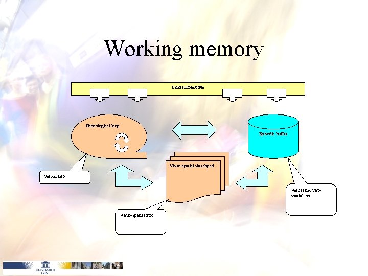 Working memory Central Executive Phonological loop Episodic buffer Visuo-spatial sketchpad Verbal info Verbal and