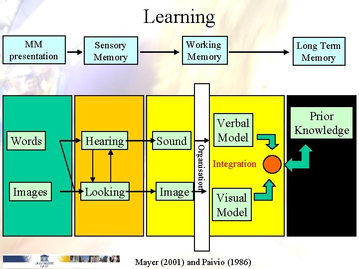 Learning MM presentation Images Hearing Looking Working Memory Sound Image Verbal Model Organisation Words