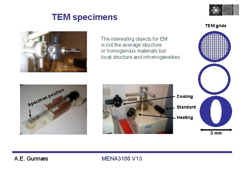 TEM specimens TEM grids The interesting objects for EM is not the average structure