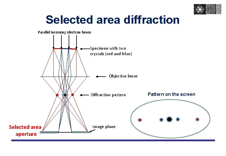 Selected area diffraction Parallel incoming electron beam Specimen with two crystals (red and blue)