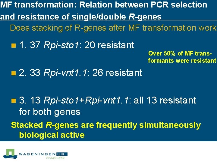 MF transformation: Relation between PCR selection and resistance of single/double R-genes Does stacking of