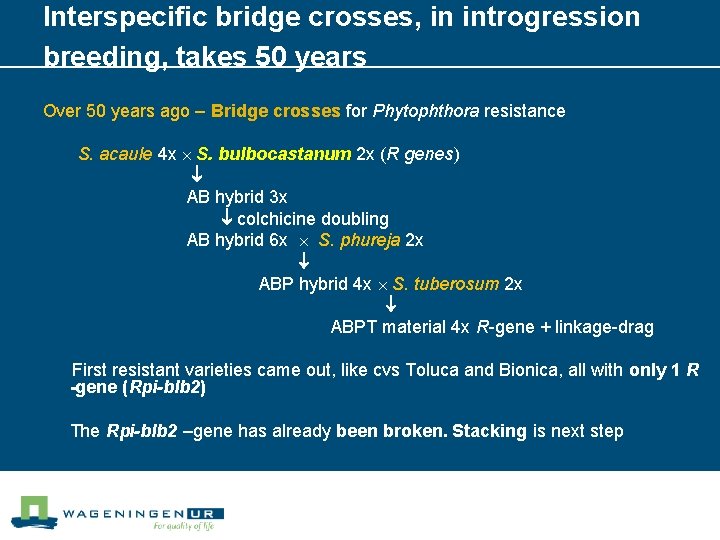 Interspecific bridge crosses, in introgression breeding, takes 50 years Over 50 years ago –