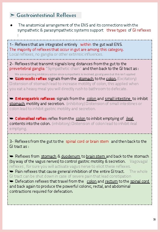 ➣ Gastrointestinal Reflexes ● The anatomical arrangement of the ENS and its connections with ➣ Gastrointestinal Reflexes ● The anatomical arrangement of the ENS and its connections with