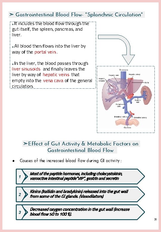 ➣ Gastrointestinal Blood Flow- "Splanchnic Circulation" It includes the blood flow through the gut ➣ Gastrointestinal Blood Flow- "Splanchnic Circulation" It includes the blood flow through the gut