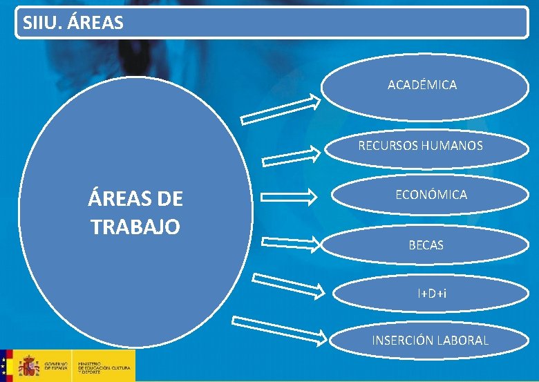 SIIU. ÁREAS ACADÉMICA RECURSOS HUMANOS ÁREAS DE TRABAJO ECONÓMICA BECAS I+D+i INSERCIÓN LABORAL 