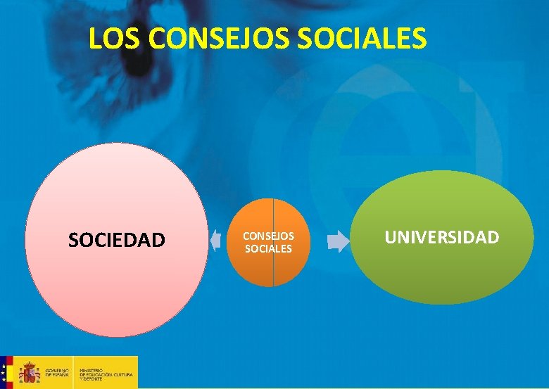 LOS CONSEJOS SOCIALES SOCIEDAD CONSEJOS SOCIALES UNIVERSIDAD 