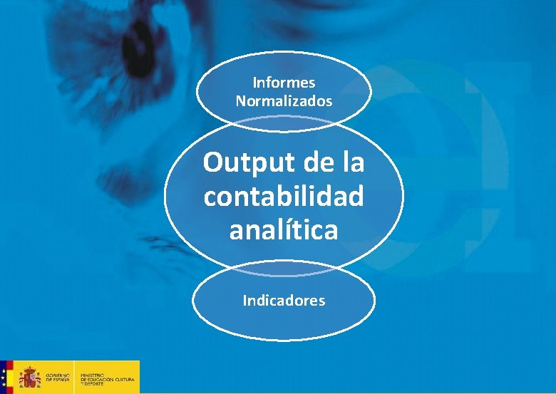  Informes Normalizados Output de la contabilidad analítica Indicadores 