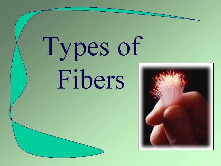 Types of Fibers 