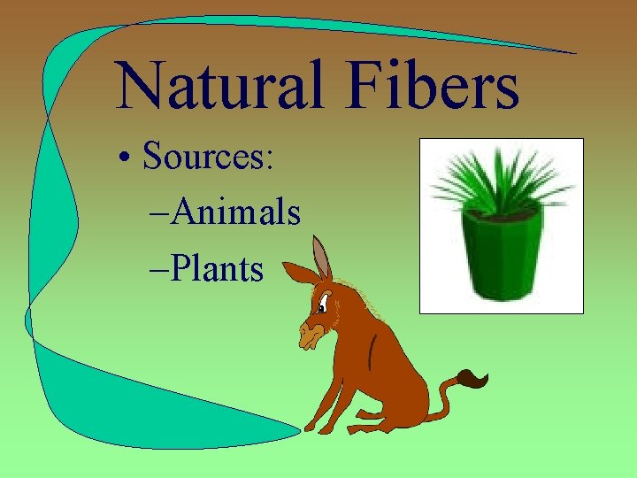 Natural Fibers • Sources: –Animals –Plants 