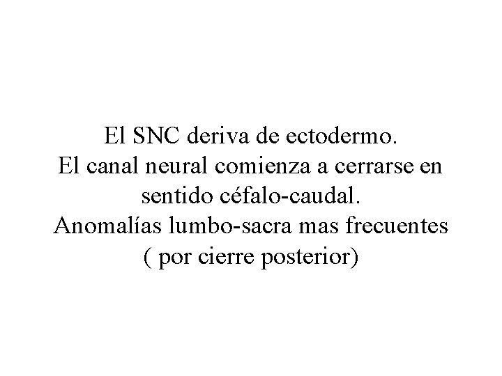 El SNC deriva de ectodermo. El canal neural comienza a cerrarse en sentido céfalo-caudal.