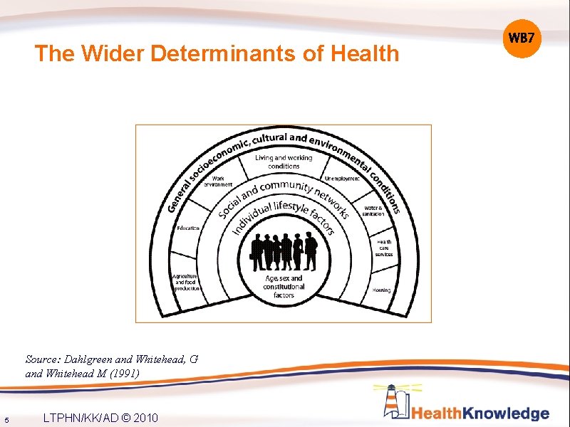 The Wider Determinants of Health Source: Dahlgreen and Whitehead, G and Whitehead M (1991)