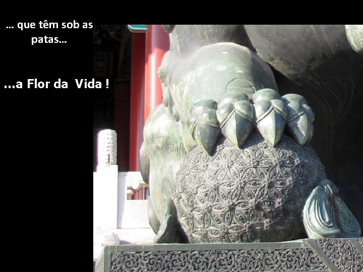 … que têm sob as patas… …a Flor da Vida ! 