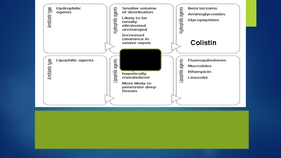 Colistin 